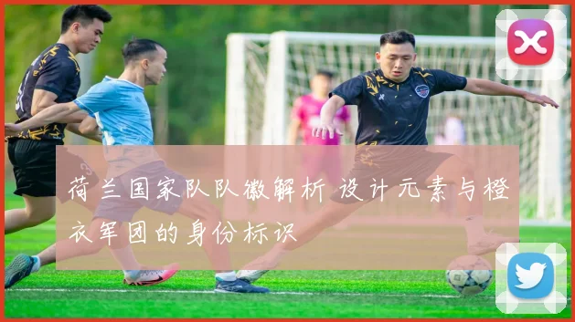 荷兰国家队队徽解析 设计元素与橙衣军团的身份标识