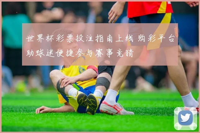 世界杯彩票投注指南上线 购彩平台助球迷便捷参与赛事竞猜