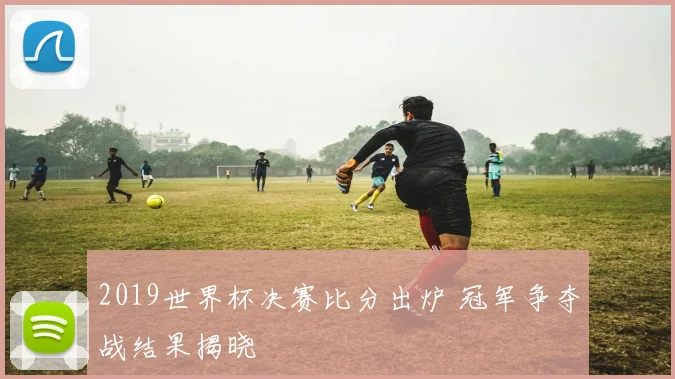 2019世界杯决赛比分出炉 冠军争夺战结果揭晓