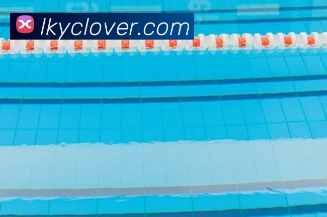 pg网页版入口服务体系